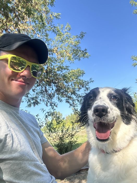 Behawiorysta i szkolenie psów| Poznań/ Swarzędz