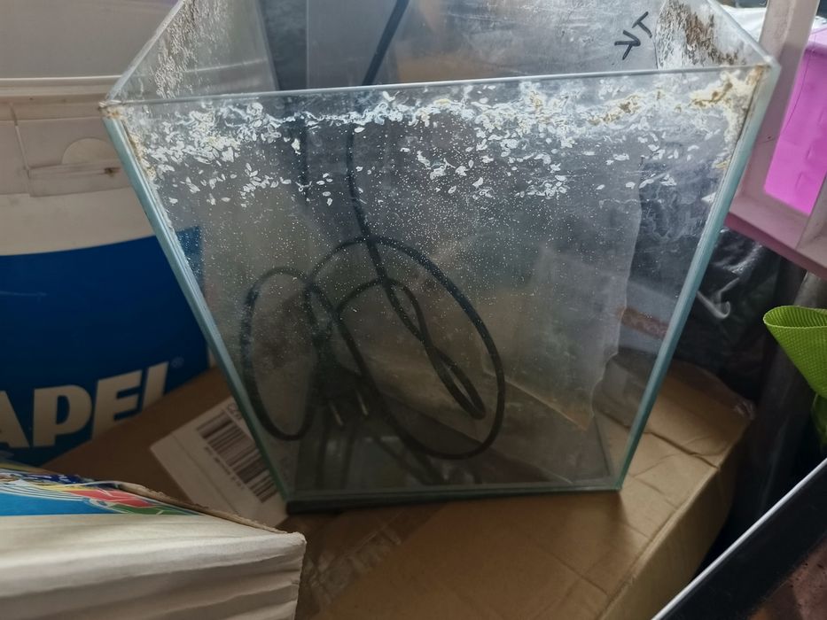 Akwarium kostka 10 litrów