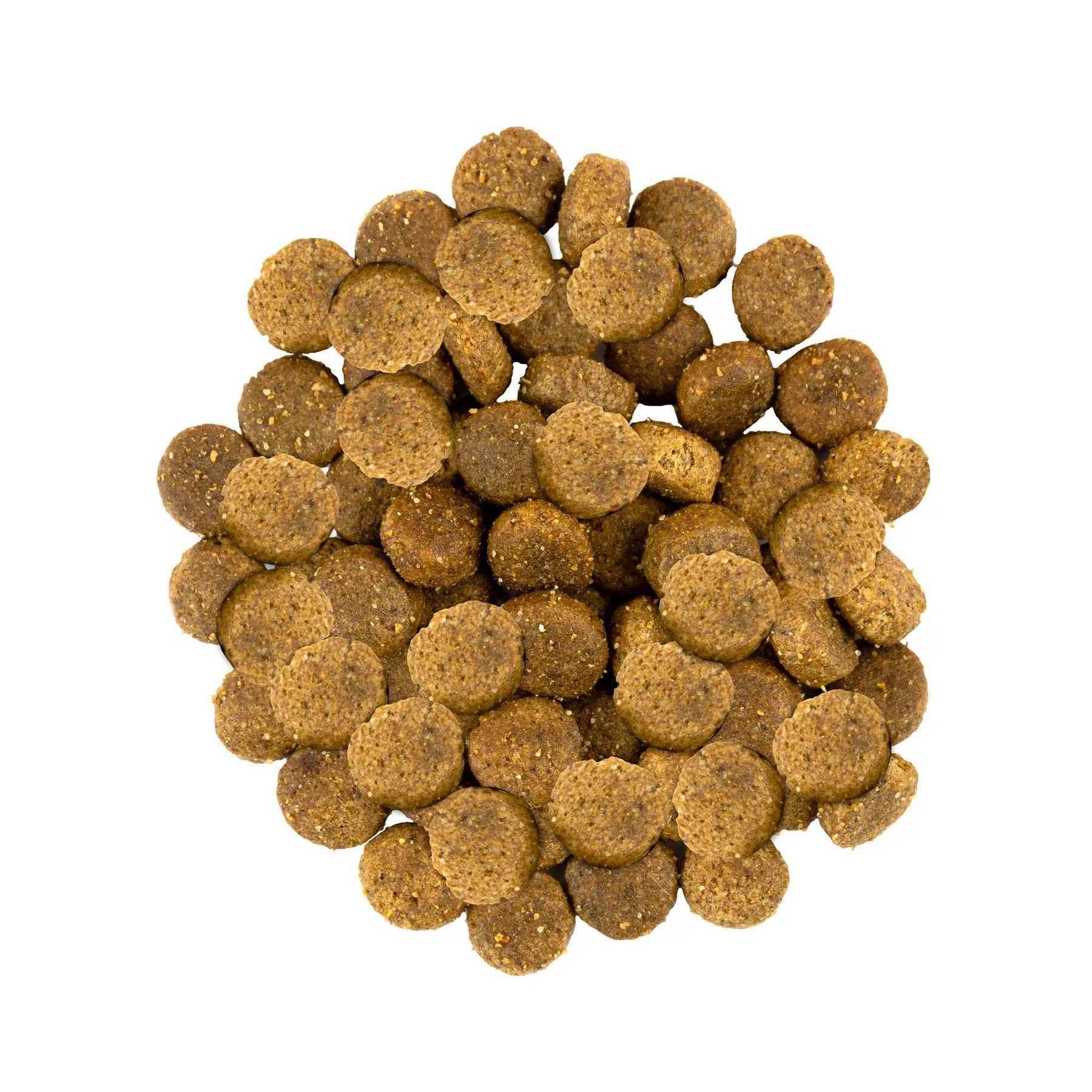 Корм для собак Savory Medium Breed rich in Fresh Turkey & Lamb 12 кг