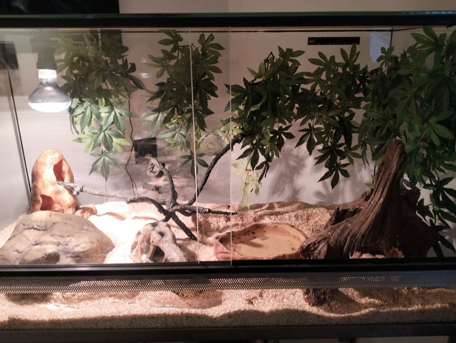 Sprzedam Terrarium