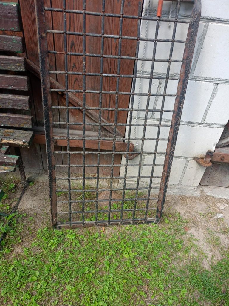 Sortownik do ziemniaków Puck