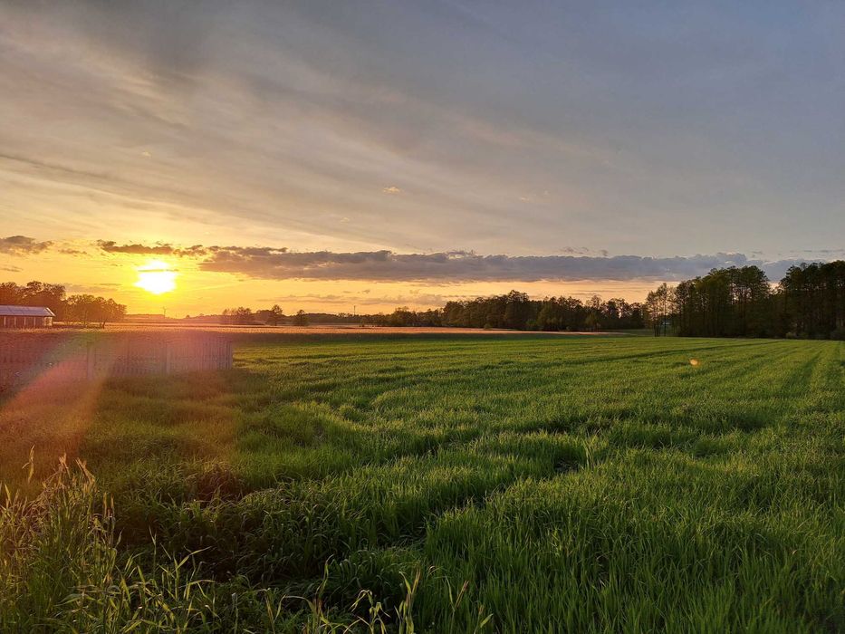 Dom na Wynajem Świetny stan