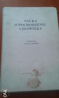 Nauka o pochodzeniu człowieka