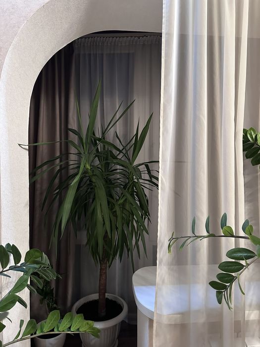 Продажа квартиры