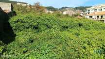 Terreno em Caniço de 1910,00 m2