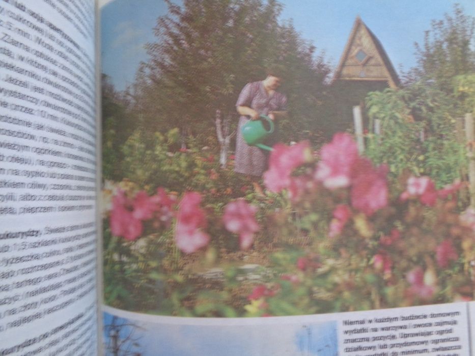 Zrób sam Vademecum książka praktyczna Dzień Ojca prezent urodziny