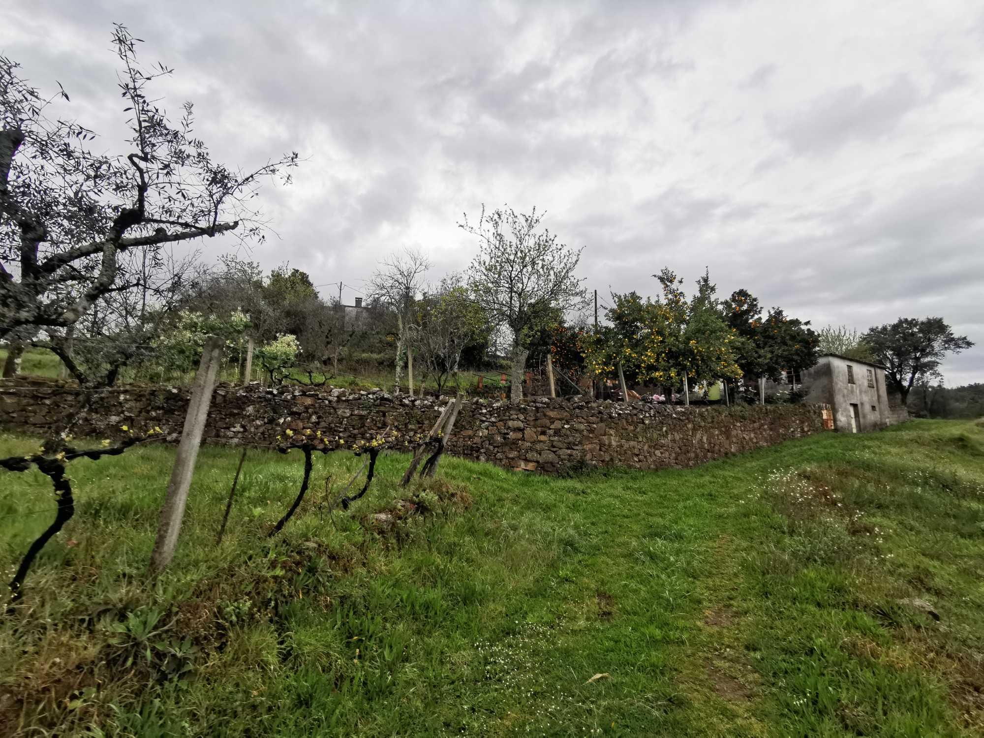 Casa rural com quintal