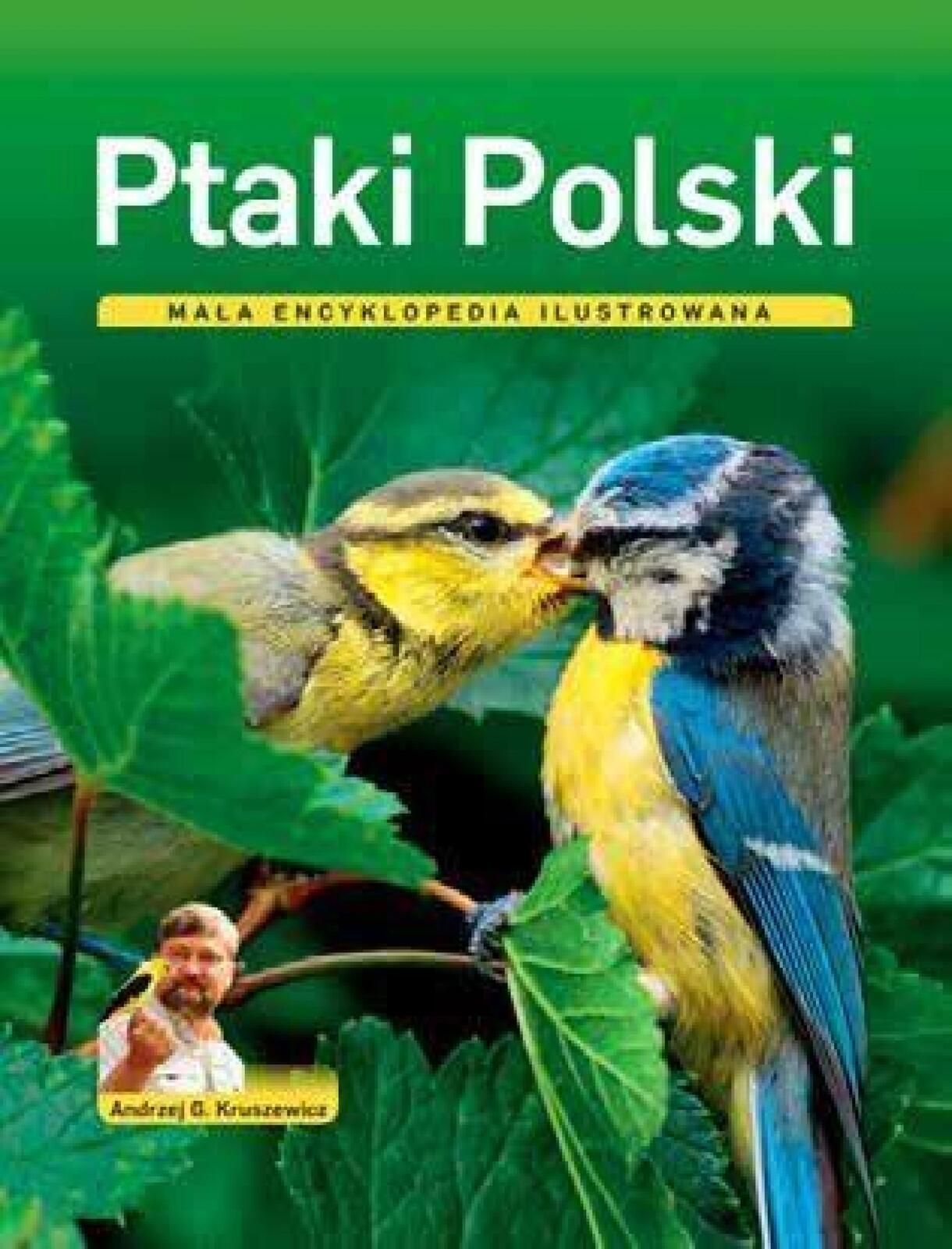 Ptaki Polski. Mała encyklopedia ilustrowana Multico Andrzej G.