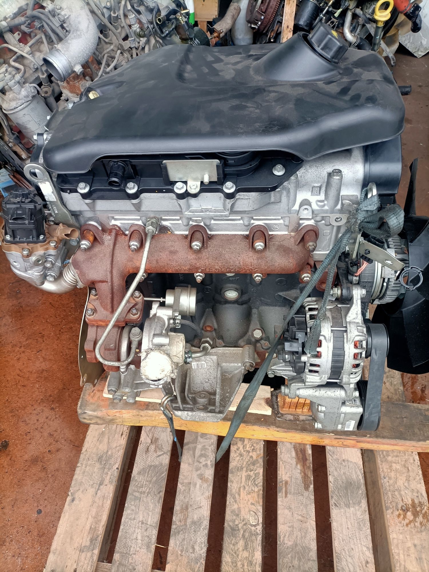 Motor Iveco daily 2300 f1a411a