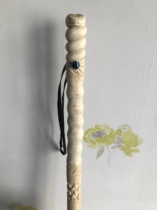 Палка для трекінгу