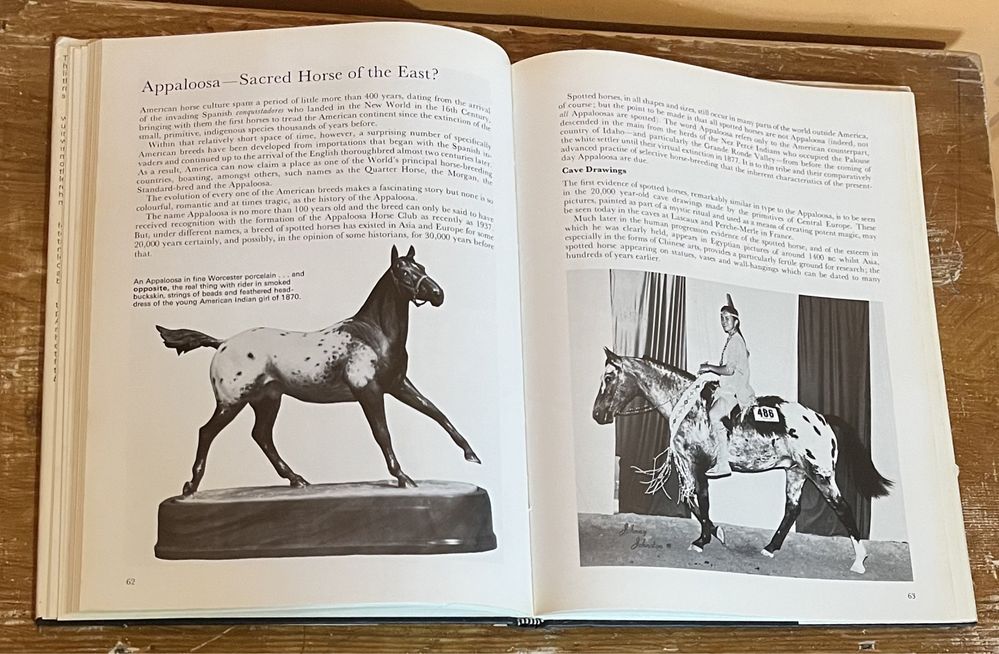 Album o koniach - ryciny „The beauty of horses” Londyn 1973