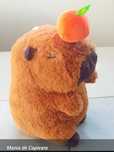 Mania de Capivar

• Filhote capivara em peluche
• Mania entre cri