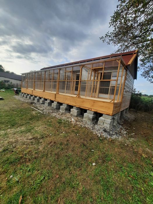 Golebnik ogrodowy