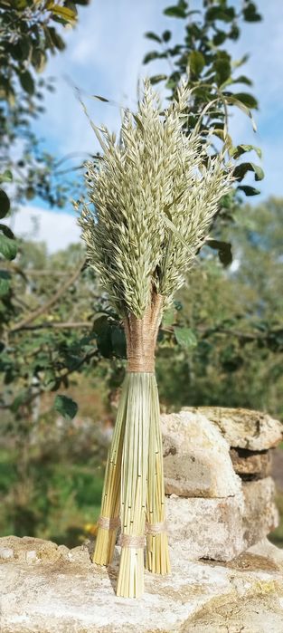 Дідух / Різдвяний дідух / Сніп