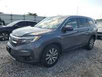 2019 HONDA Pilot EXL
