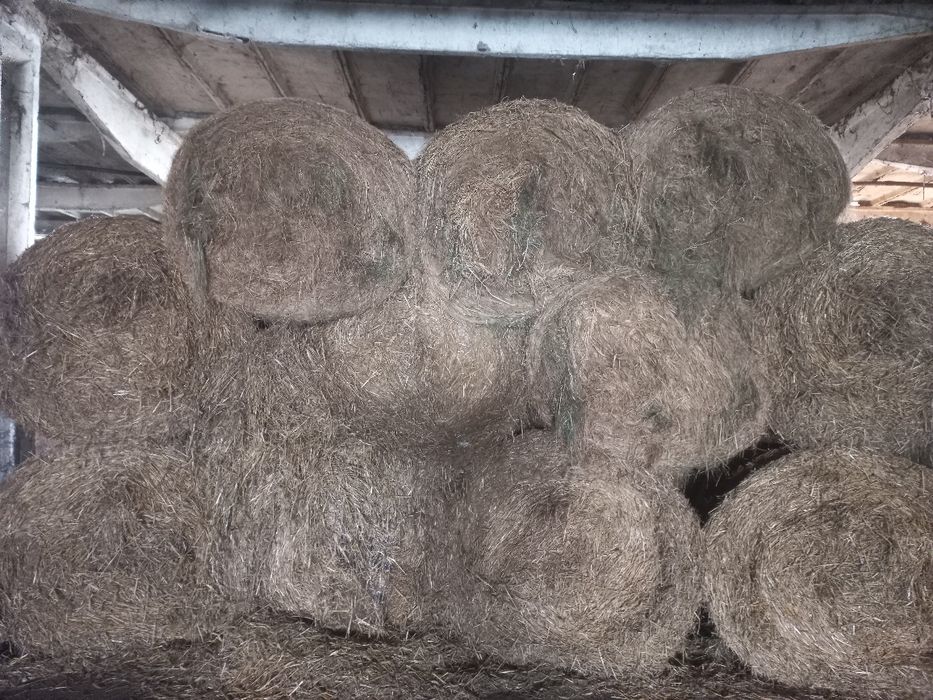 Sprzedam słomę w belach