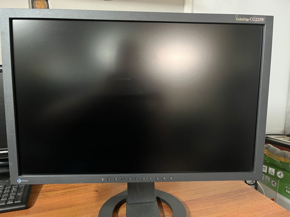 Monitor graficzy Eizo CG223W + Kaptur