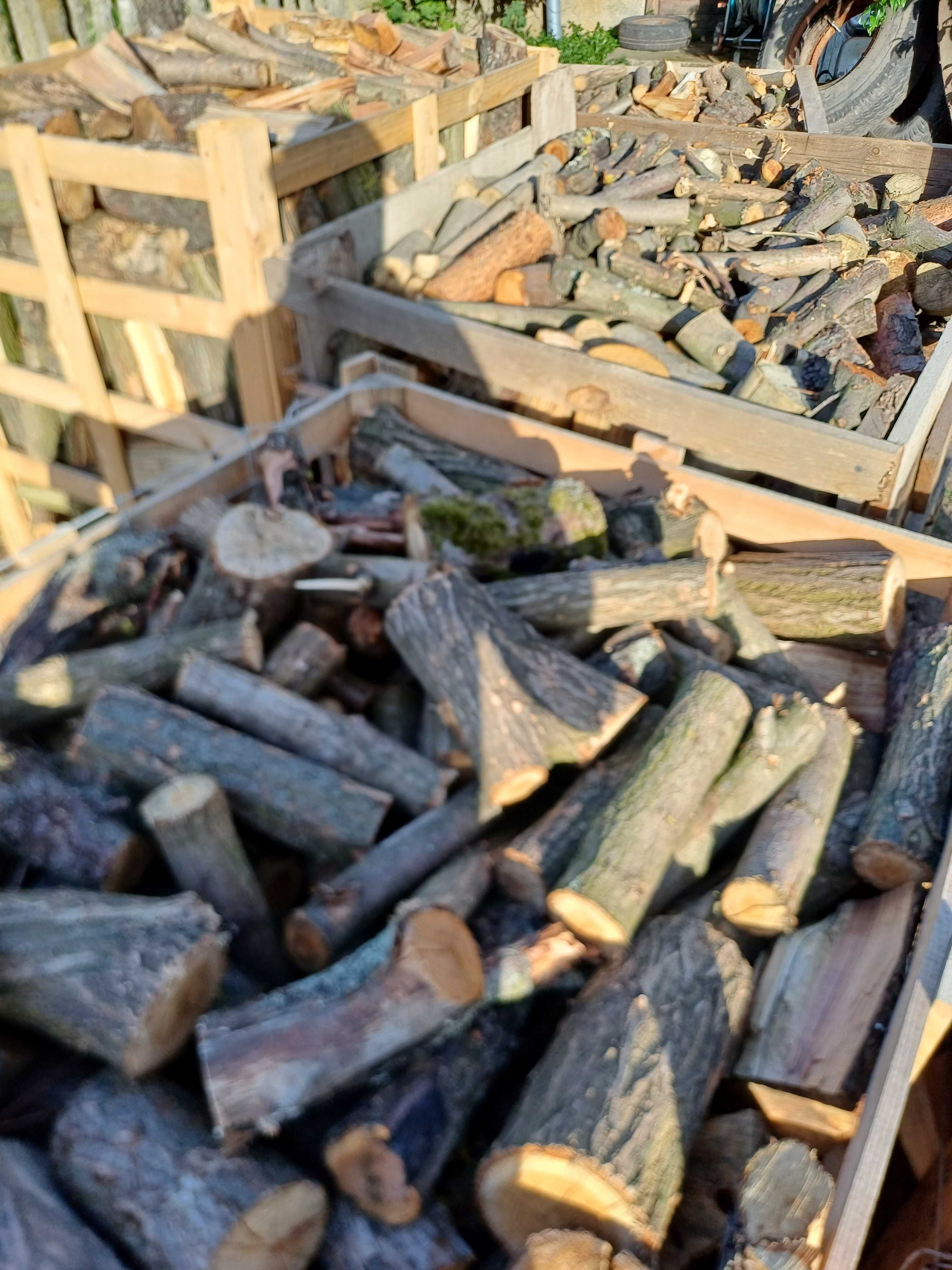 Drewno opałowe akacjowe