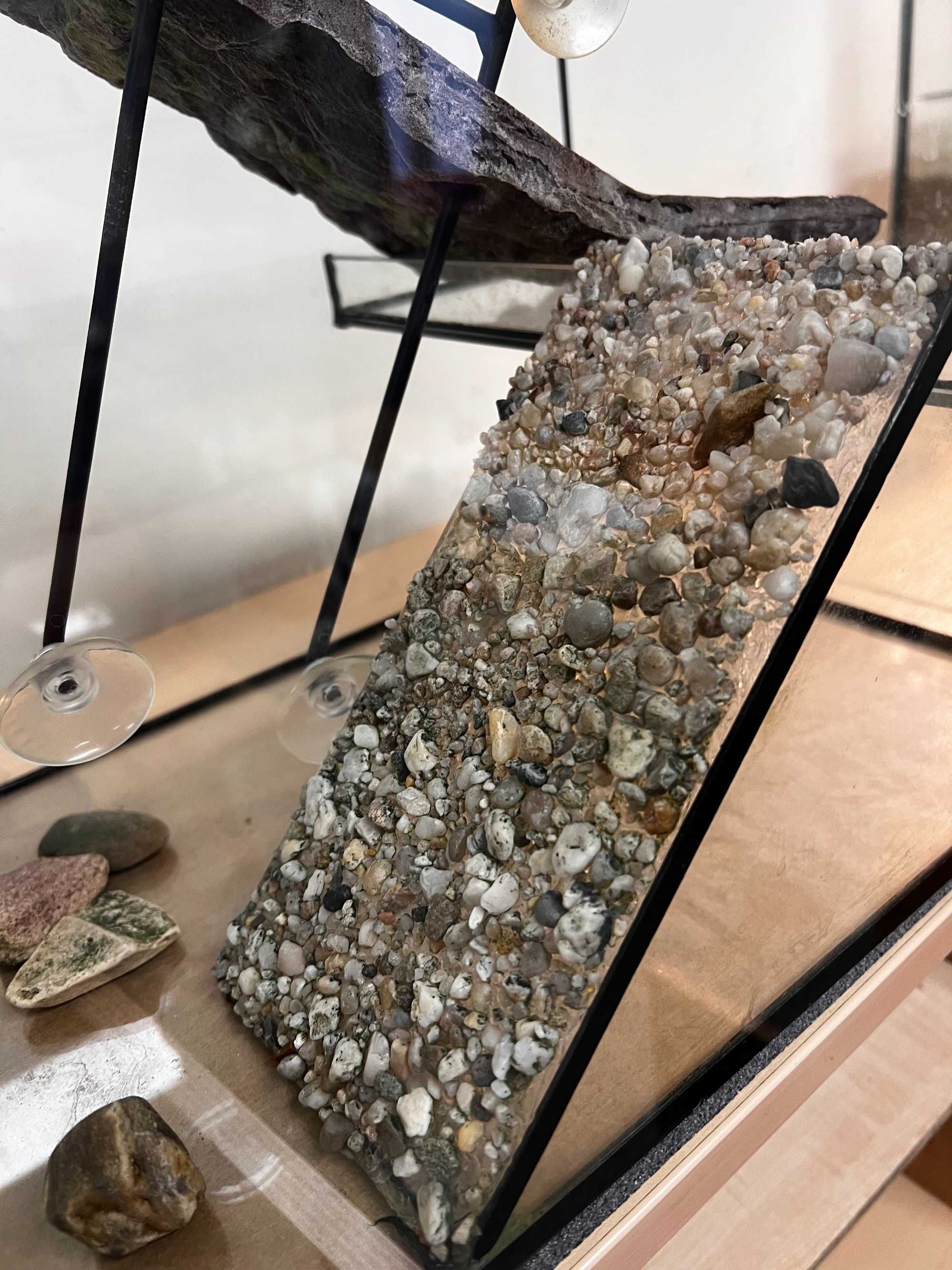 Akwaterrarium z rampą 36 l wielkość 60 cm x 30 cm x 25 cm