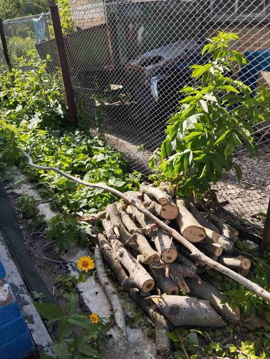 Продам спиляний горіх на дрова