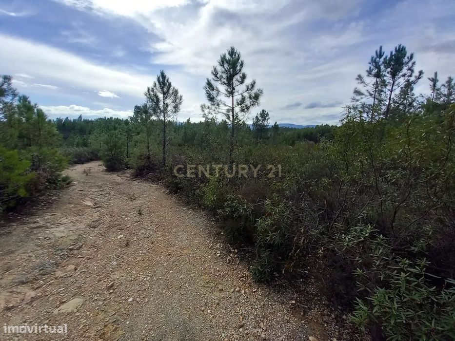 Terreno Rustico com 6120 m2 Vale da Pereira-Santo André das Tojeiras