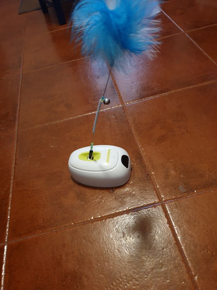 Brinquedo para Gato com Sensor