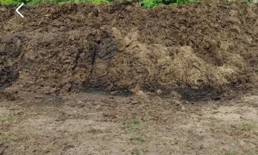 Sprzedam obornik bydlecy