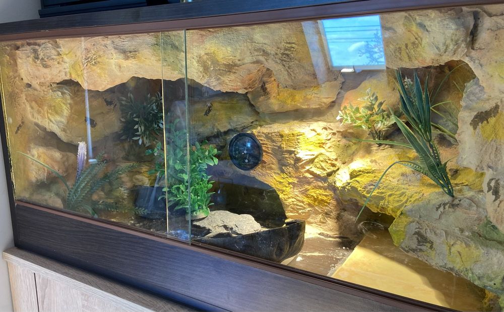 Terrarium dla gadów