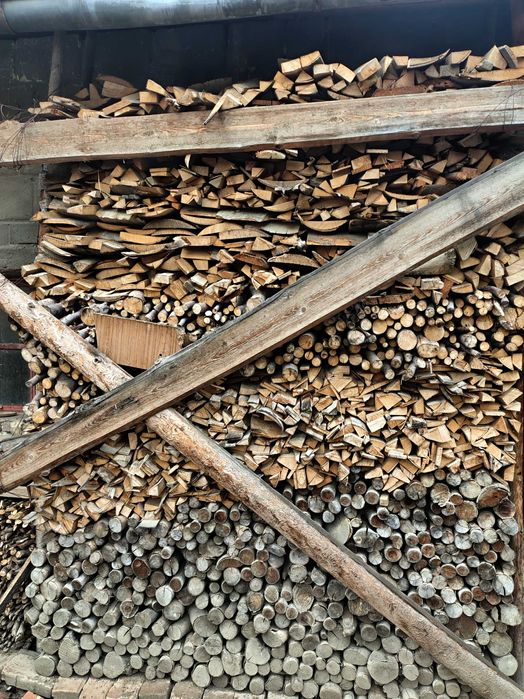 Drzewo sprzedam   pilnie