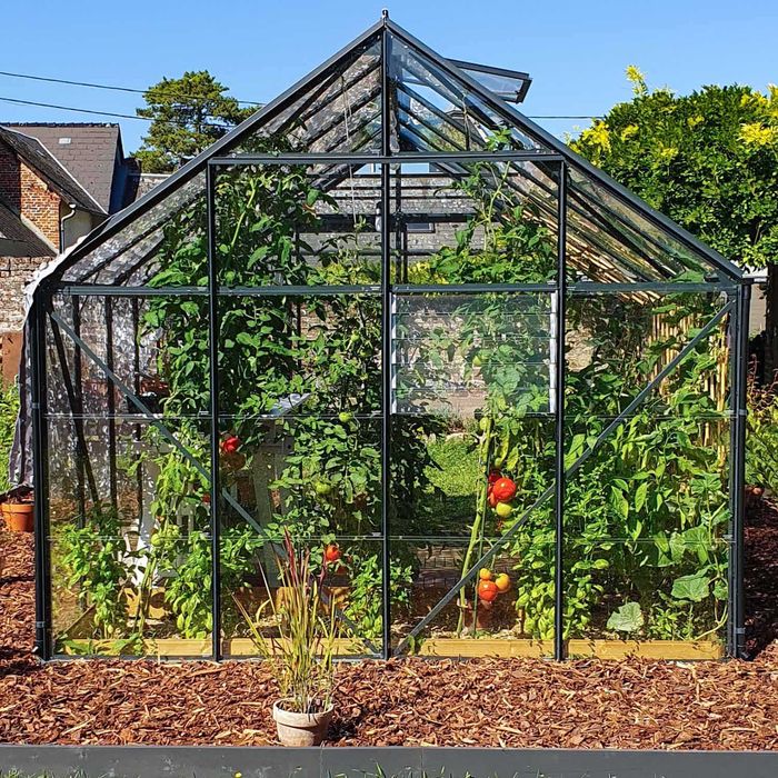 Black Week! Aluminiowa szklarnia ogrodowa LAMS CARVI szkło hartowane