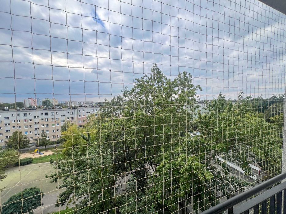 3-pokojowe mieszkanie na wynajem–Poznań / Grunwald, ul. Arciszewskiego
