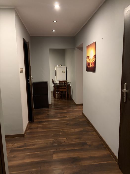 Mieszkanie do wynajęcia