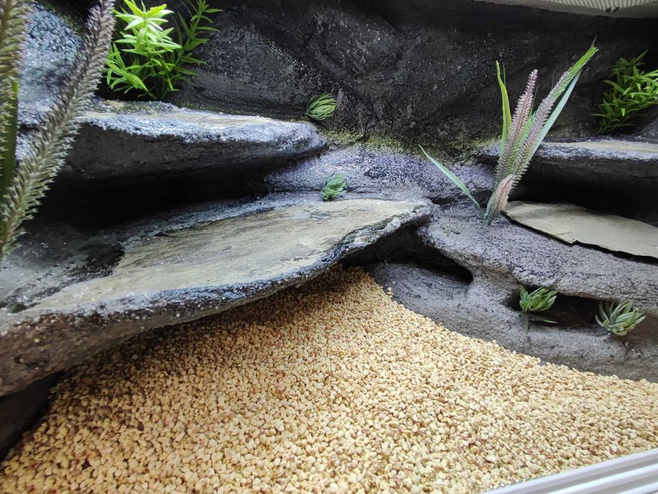 Terrarium pustynne nr755 80/40/40 dla gekona lamparciego DOSTĘPNE