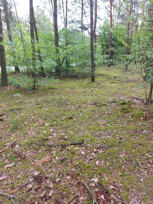 Działka budowlana, media w drodze