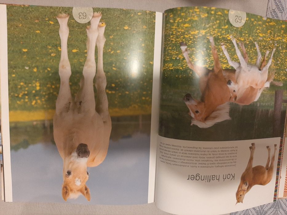 W świecie przyrody, dzieci zwierząt (BRP16)