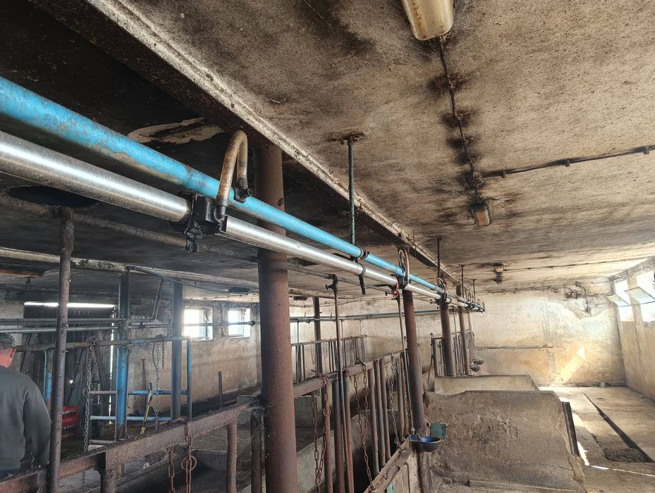 Dojarka przewodowa Alfa-laval
