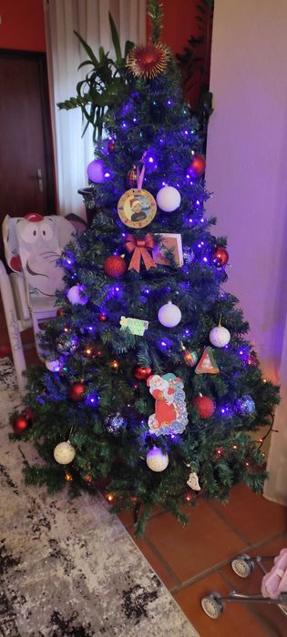 Árvore de Naral 1,80 m