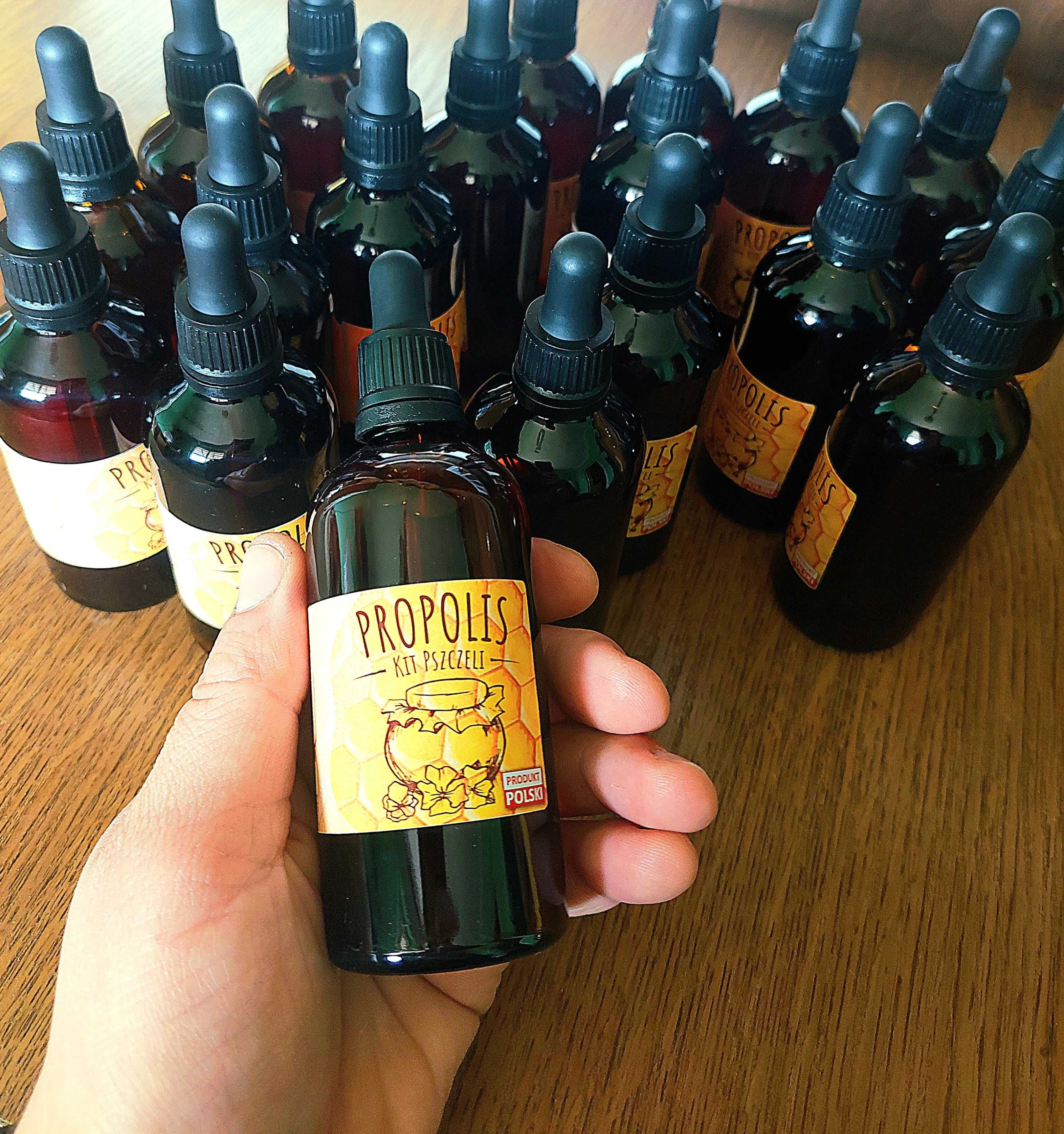 Propolis, kit pszczeli