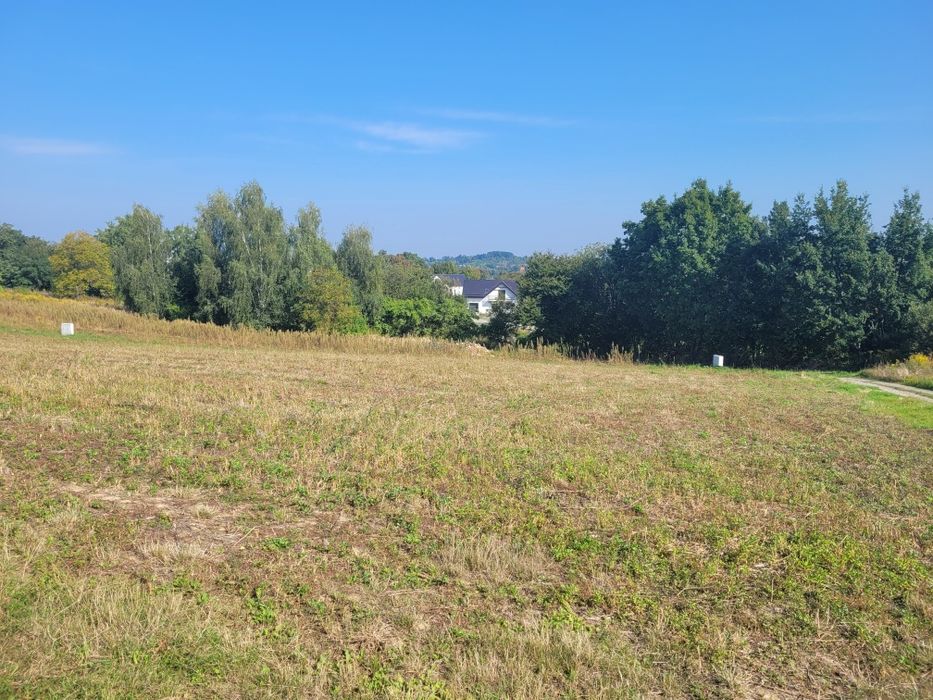 Działka budowlana w Trzebnicy bez pośredników