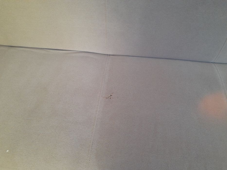 Odam za darmo kanapę