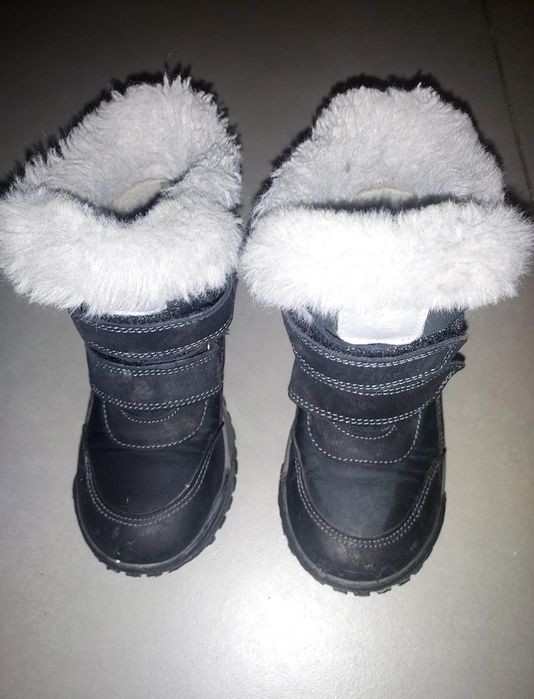 Śniegowce Lasocki, r. 27