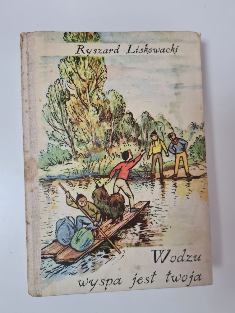 Wodzu wyspa jest twoja - Ryszard Liskowacki