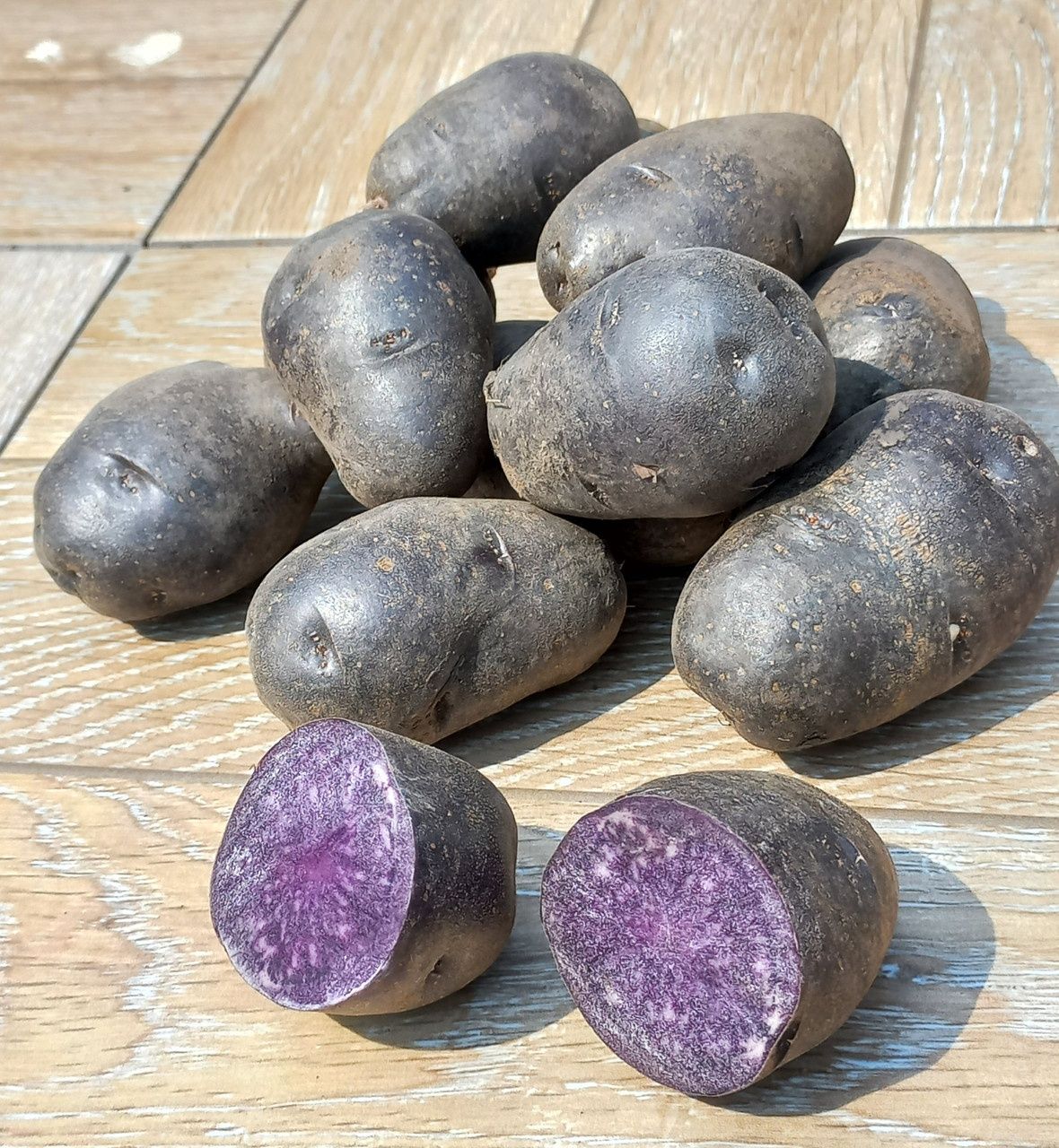 Продам картоплю Солоху