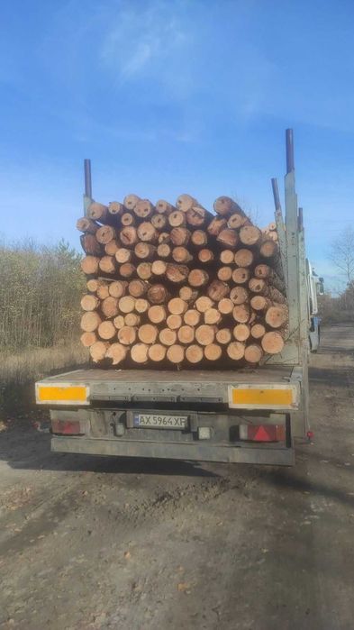 Будівельний пиловочник 4 м • діаметр 14–20 • партії від 27 м³ Лозова