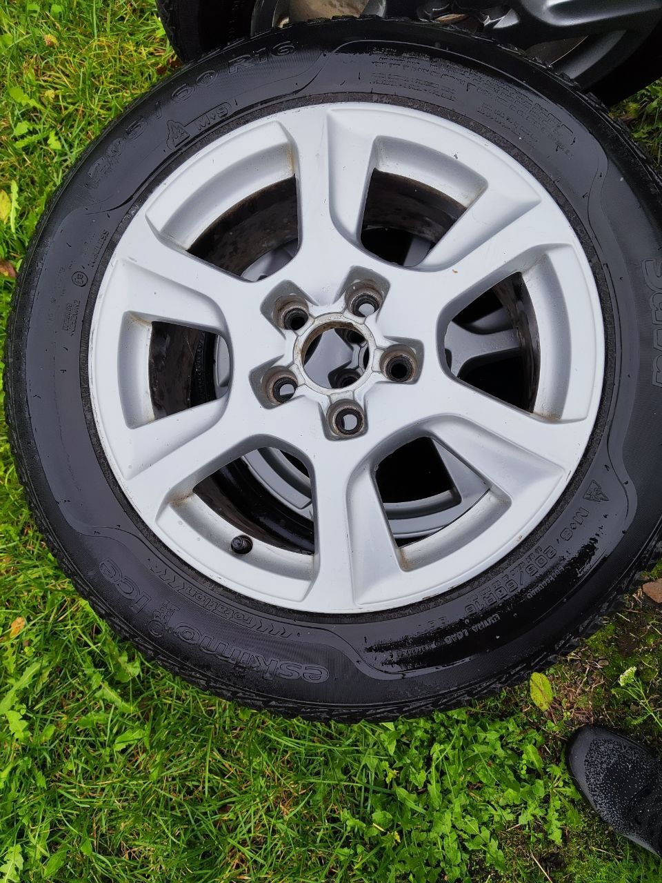 Титани VAG з резиною Sava Eskimo Ice r16, 205/60