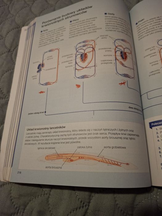 Biologia na czasie 3