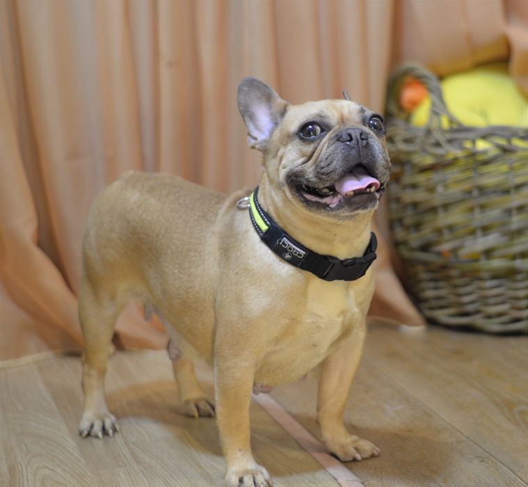 Найдобріша дівчинка