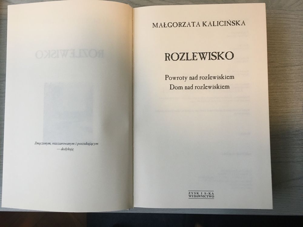 Rozlewisko - Małgorzata Kalicińska