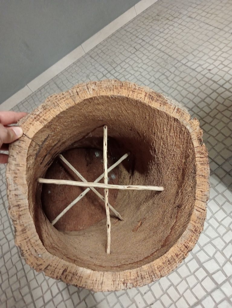 Cortiço colmeia em bom estado
