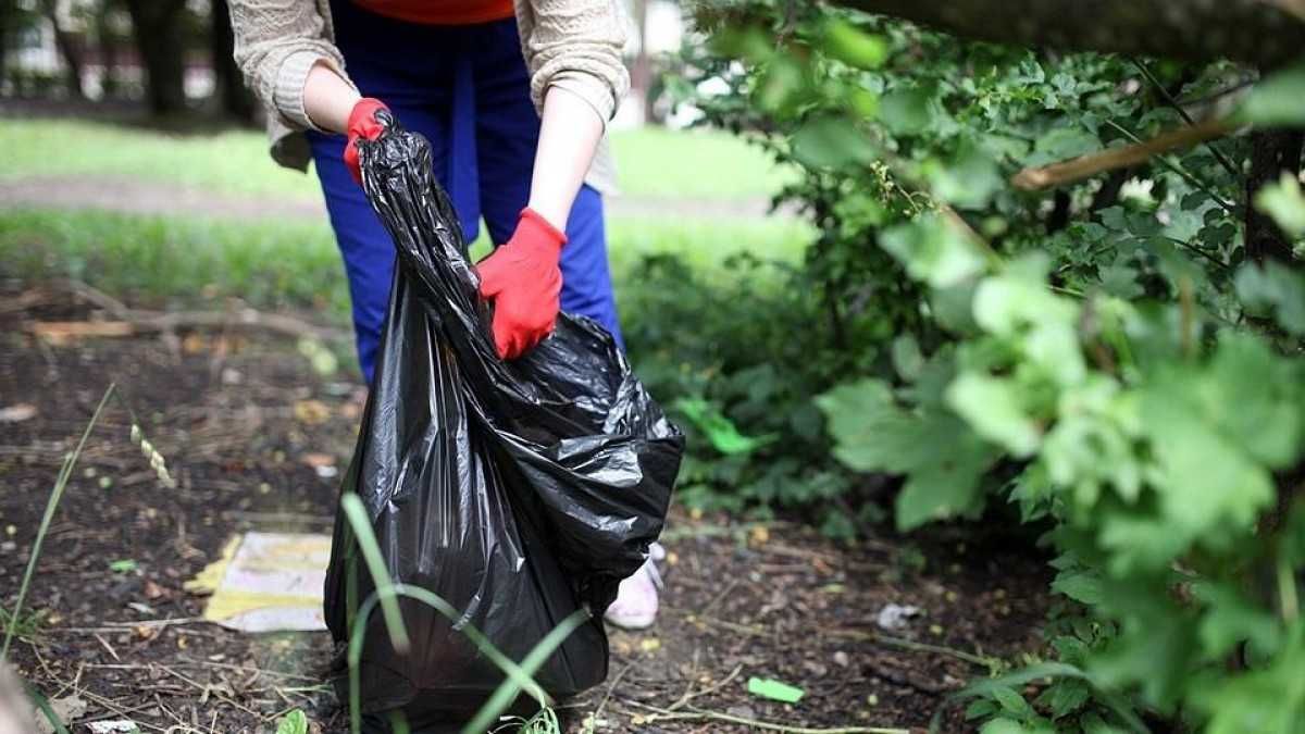 Уборка территории покос травы